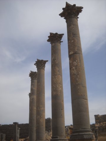 dscn0679.jpg