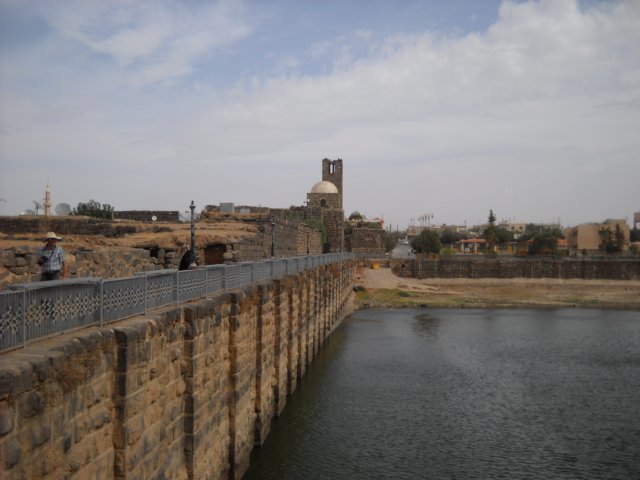 dscn0703.jpg