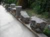 dscn0710_small.jpg
