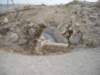 dscn0122_small.jpg