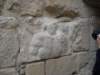 dscn0131_small.jpg