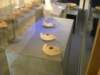 dscn0151_small.jpg