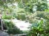 photo100_small.jpg