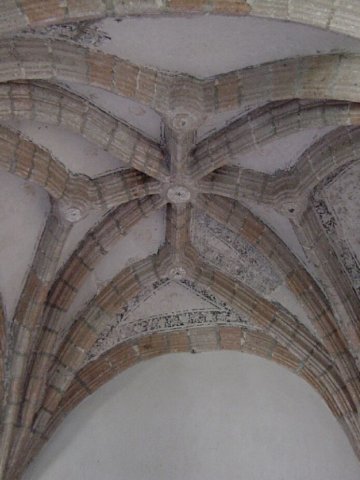 photo184.jpg