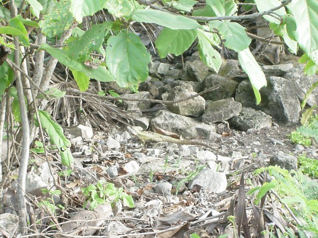 photo220.jpg