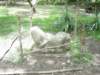photo236_small.jpg