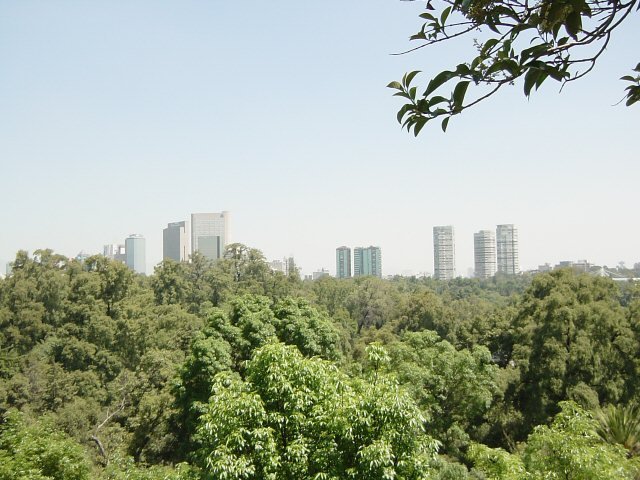 photo67.jpg