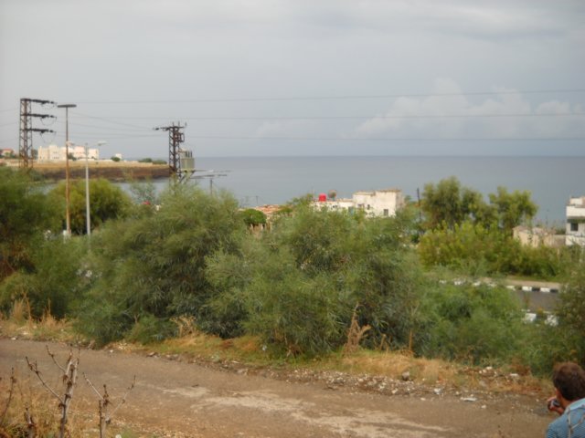 dscn0302.jpg