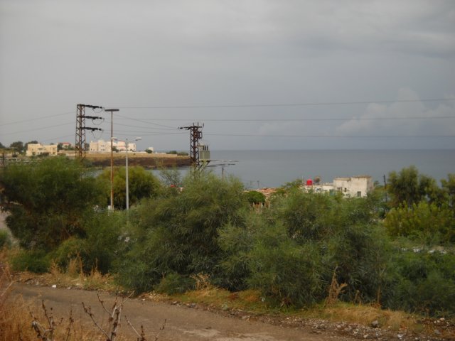 dscn0303.jpg