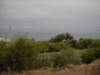 dscn0304_small.jpg