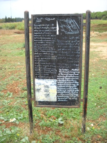 dscn0306.jpg