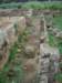 dscn0310_small.jpg