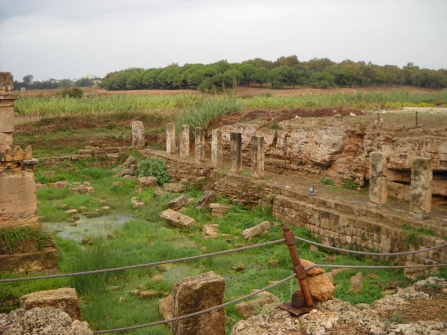 dscn0312.jpg