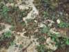 dscn0315_small.jpg