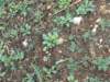 dscn0316_small.jpg