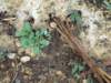 dscn0319_small.jpg