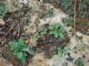 dscn0320_small.jpg