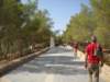 dscn0483_small.jpg