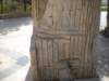 dscn0485_small.jpg