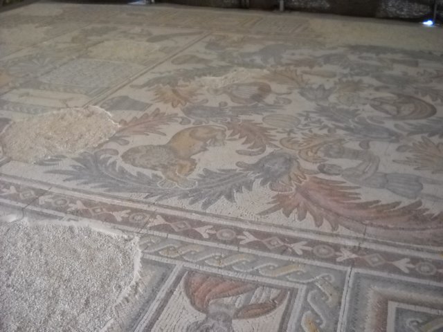 dscn0502.jpg