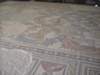dscn0502_small.jpg
