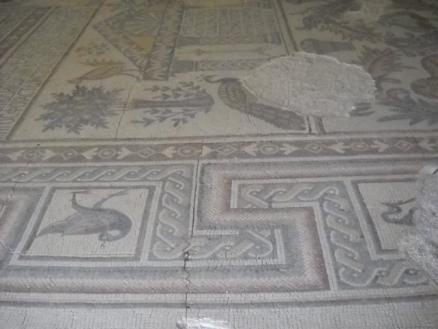 dscn0503.jpg