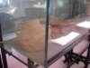 dscn0515_small.jpg