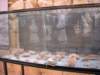 dscn0518_small.jpg