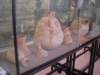 dscn0524_small.jpg