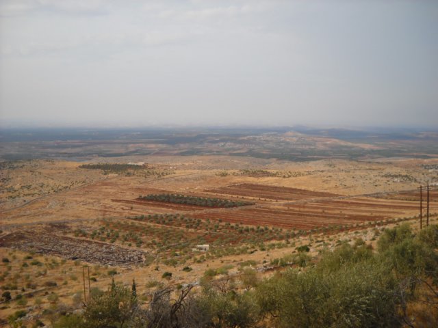 dscn0005.jpg
