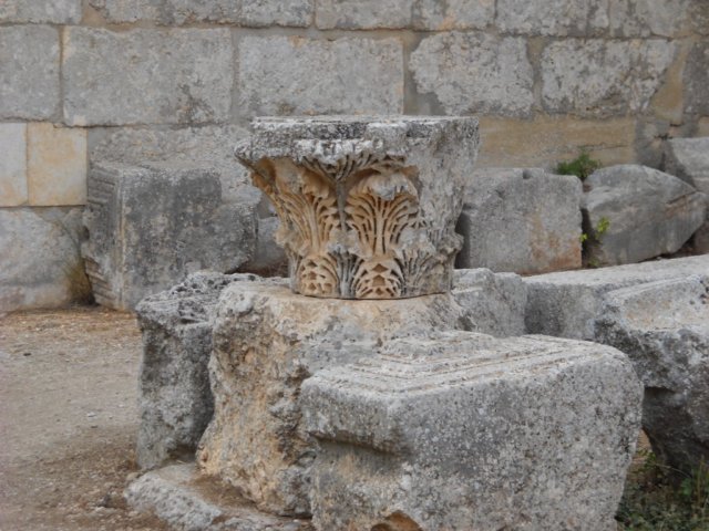 dscn0019.jpg