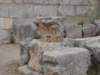 dscn0019_small.jpg