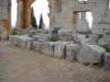 dscn0020_small.jpg