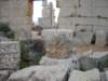 dscn0021_small.jpg