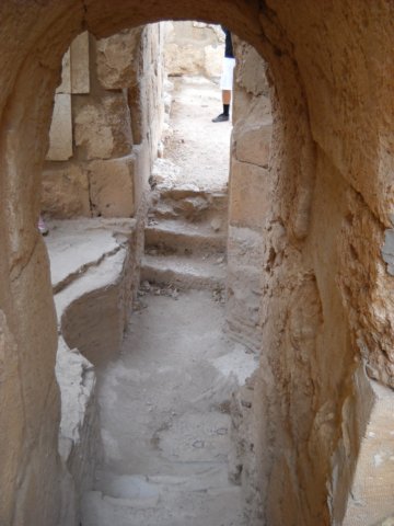 dscn0031.jpg