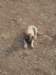 dscn1127_small.jpg