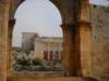 dscn1130_small.jpg