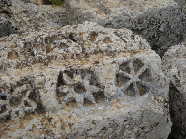 dscn1133.jpg