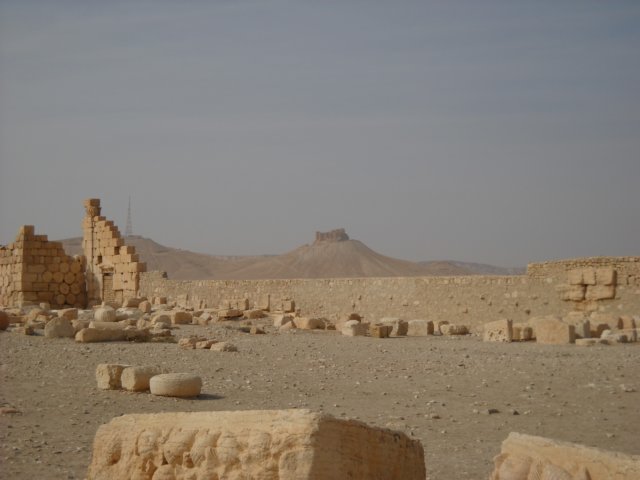 dscn0964.jpg