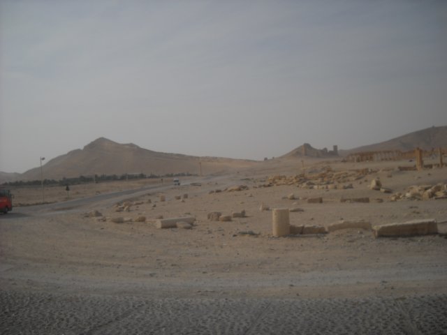 dscn0981.jpg