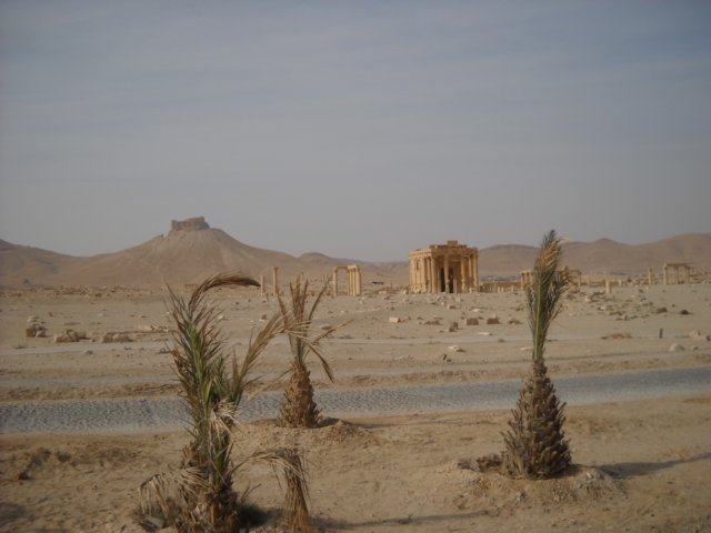 dscn0987.jpg
