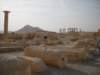 dscn1006_small.jpg