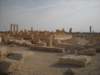 dscn1008_small.jpg