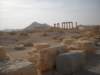 dscn1011_small.jpg