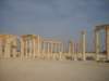 dscn1015_small.jpg