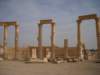 dscn1016_small.jpg