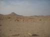 dscn1028_small.jpg