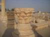 dscn1030_small.jpg
