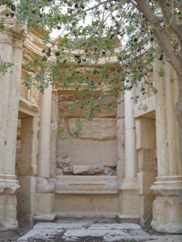 dscn1033.jpg