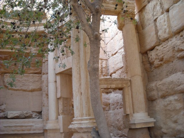 dscn1035.jpg